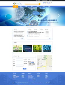 網頁設計 打造用戶體驗至上的Web頁面